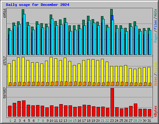 Daily usage for December 2024