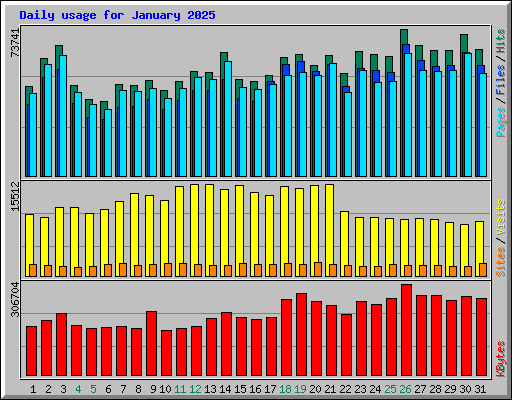 Daily usage for January 2025