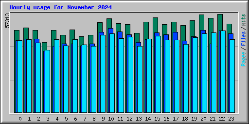 Hourly usage for November 2024