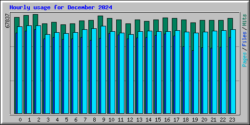 Hourly usage for December 2024