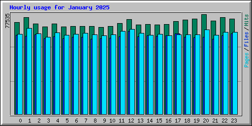 Hourly usage for January 2025