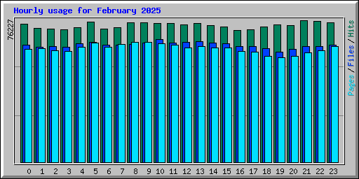 Hourly usage for February 2025